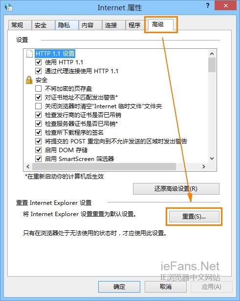 IE 高级选项