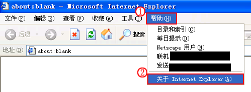查看浏览器的“关于 Internet Explorer”信息